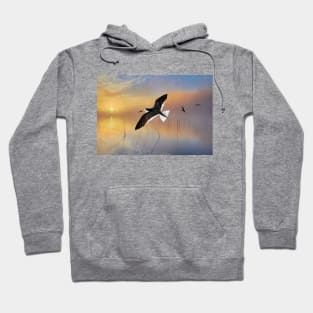 Black Skimmer at Sunset Hoodie